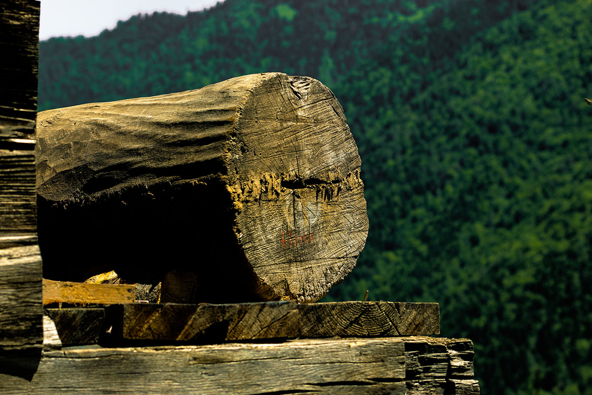 ჯარას თაფლი - ტურისტული შესაძლებლობების განვითარების საშუალება 